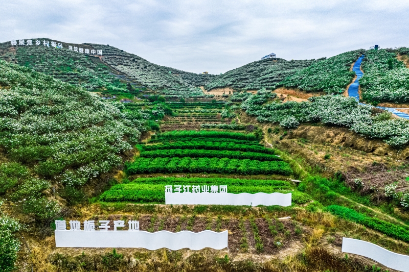 產業振興 產業振興