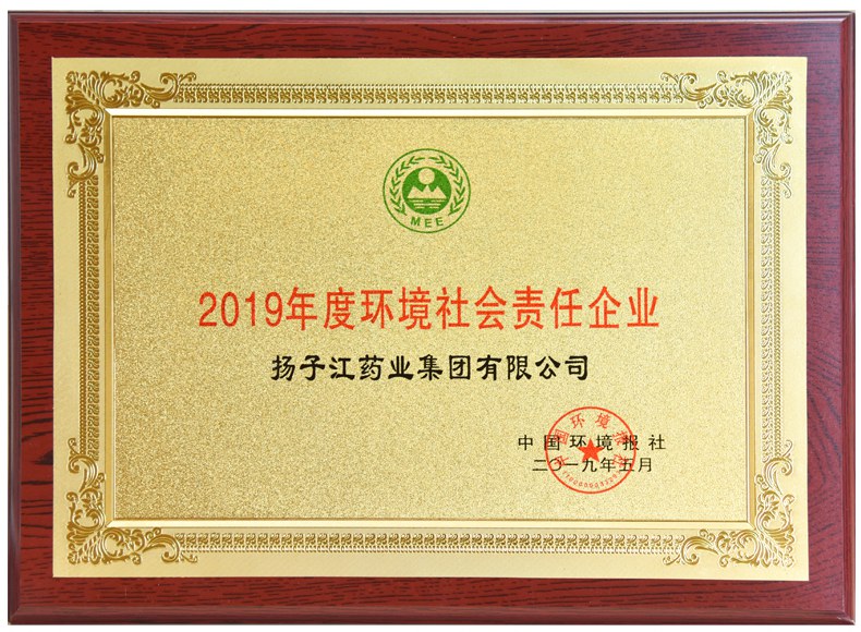 環境社會責任企業（2019）